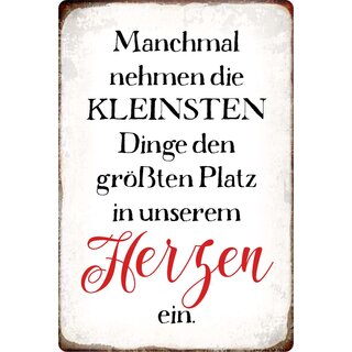 Schild Spruch "Kleinste Dinge nehmen größten Platz im Herzen" 20 x 30 cm Blechschild