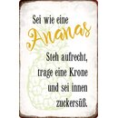 Schild Spruch "Sei wie eine Ananas" 20 x 30 cm...