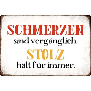 Schild Spruch "Schmerzen sind vergänglich" 30 x 20 cm Blechschild