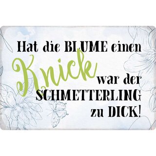 Schild Spruch "Hat die Blume einen Knick" 30 x 20 cm Blechschild