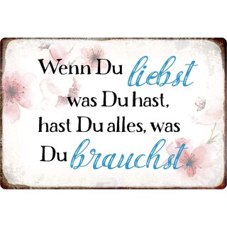 Schild Spruch "Liebst was Du hast, hast du alles" 30 x 20 cm Blechschild