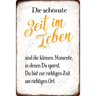 Schild Spruch "Schönste Zeit im Leben" 20 x 30 cm Blechschild