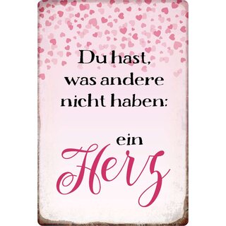 Schild Spruch "Du hast, was andere nicht haben" 20 x 30 cm Blechschild