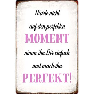 Schild Spruch "Warte nicht auf den perfekten Moment" 20 x 30 cm Blechschild