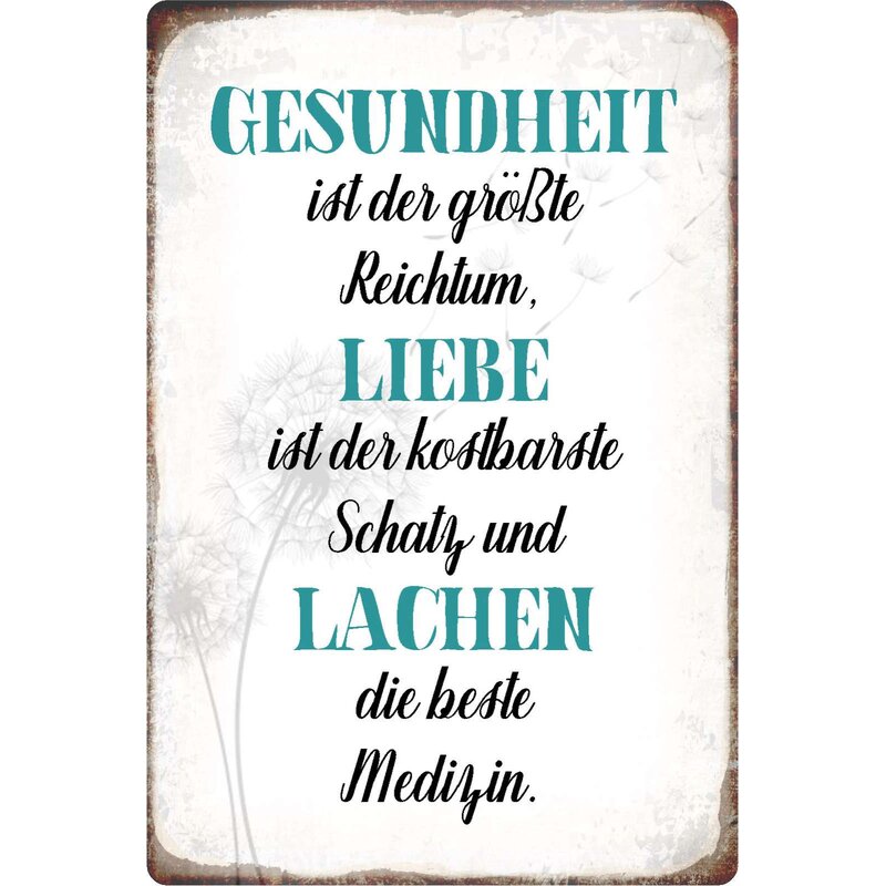 Schild Spruch "Gesundheit ist der größte Reichtum" 20 x 30 cm Blechsc