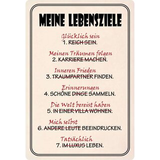 Schild Spruch "Meine Lebensziele" 20 x 30 cm Blechschild