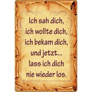 Schild Spruch "Ich sah dich, ich wollte dich" 20 x 30 cm Blechschild