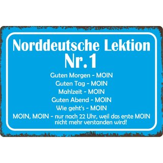 Schild Spruch "Norddeutsche Lektion" 30 x 20 cm Blechschild