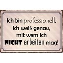 Schild Spruch "Ich bin professionell" 30 x 20...