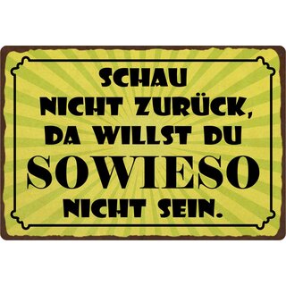 Schild Spruch "Schau nicht zurück" 30 x 20 cm Blechschild