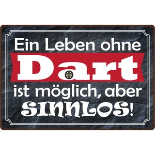 Schild Spruch "Ein Leben ohne Dart ist möglich" 30 x 20 cm Blechschild