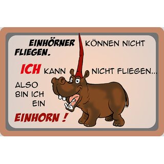 Schild Spruch "Einhörner können nicht fliegen" 30 x 20 cm Blechschild