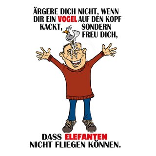 Schild Spruch "Wenn ein Vogel auf den Kopf kackt" 20 x 30 cm Blechschild