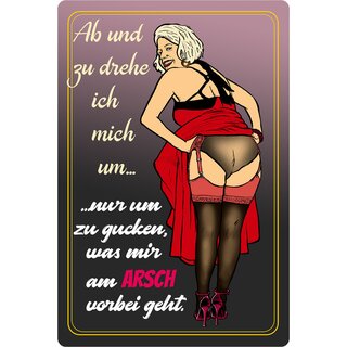 Schild Spruch "Ab und zu drehe ich mich um" 20 x 30 cm Blechschild