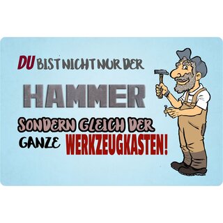 Schild Spruch "Du bist nicht nur der Hammer" 30 x 20 cm Blechschild