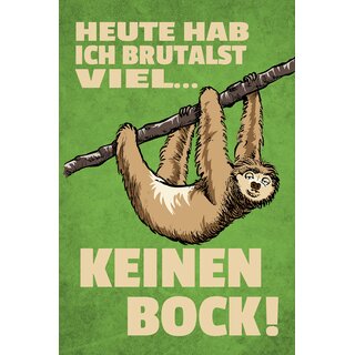 Schild Spruch "Heute hab ich keinen Bock" 20 x 30 cm Blechschild