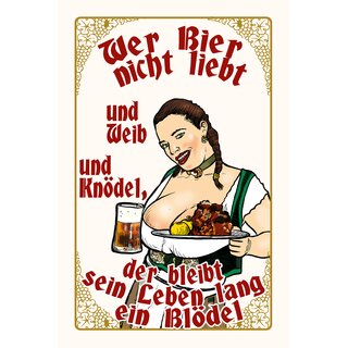 Schild Spruch "Wer Bier nicht liebt" 20 x 30 cm Blechschild