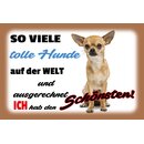 Schild Spruch "Tolle Hunde, ich hab den...