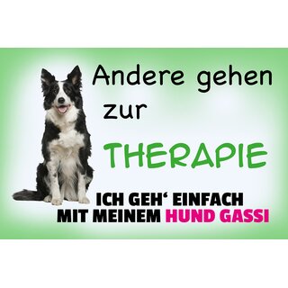 Schild Spruch "Andere gehen zur Therapie, ich geh Gassi" 30 x 20 cm Blechschild