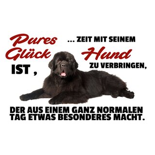 Schild Spruch "Pures Glück ist Zeit mit Hund verbringen" 30 x 20 cm Blechschild