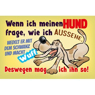 Schild Spruch "Wenn ich meinen Hund frage wie ich aussehe" 30 x 20 cm Blechschild