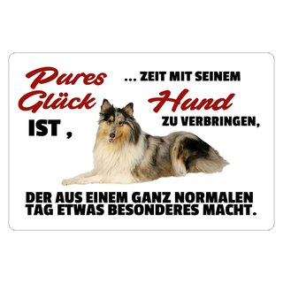 Schild Spruch "Pures Glück, Zeit mit seinem Hund verbringen" 30 x 20 cm Blechschild