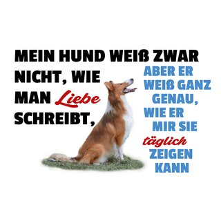 Schild Spruch "Mein Hund weiß nicht wie man Liebe schreibt" 30 x 20 cm Blechschild