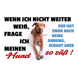 Schild Spruch "Wenn ich nicht weiter weiß, frage ich meinen Hund" 30 x 20 cm Blechschild