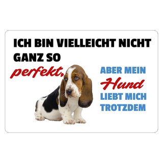 Schild Spruch "Ich bin nicht perfekt, mein Hund liebt mich trotzdem" 30 x 20 cm Blechschild