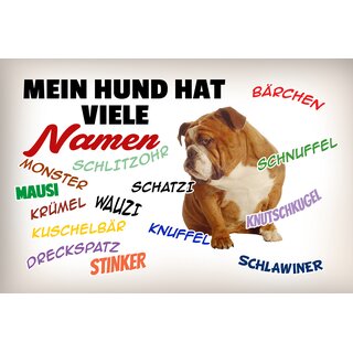 Schild Spruch "Mein Hund hat viele Namen" 30 x 20 cm Blechschild