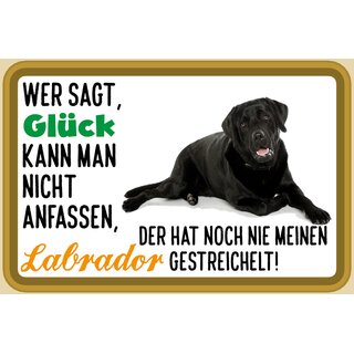 Schild Spruch "Wer sagt Glück kann man nicht anfassen Labrador" 30 x 20 cm Blechschild