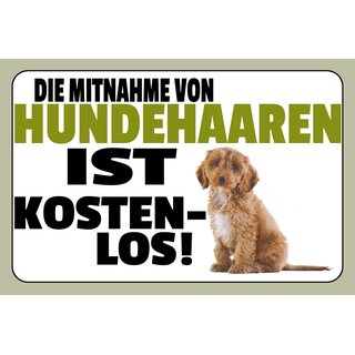 Schild Spruch "Die Mitnahme von Hundehaaren ist kostenlos" 30 x 20 cm Blechschild