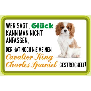 Schild Spruch "Wer sagt Glück kann man nicht anfassen Cavalier King Charles Spaniel" 30 x 20 cm Blechschild