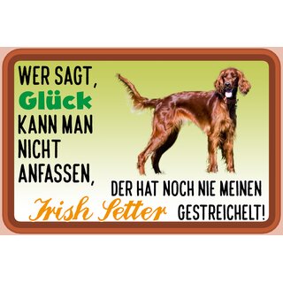 Schild Spruch "Wer sagt Glück kann man nicht anfassen Irish Setter" 30 x 20 cm Blechschild