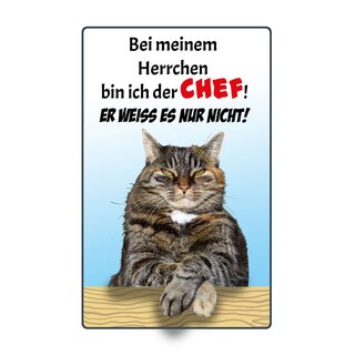 Schild Spruch "Bei meinem Herrchen bin ich der Chef" 20 x 30 cm Blechschild