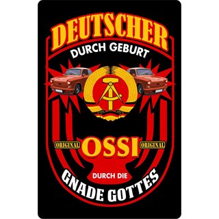 Schild Spruch "Deutscher durch Geburt" 20 x 30 cm Blechschild