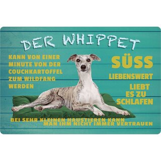 Schild Spruch "Hund Whippet süß liebenswert" 30 x 20 cm Blechschild