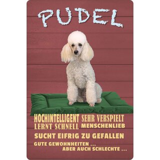Schild Spruch "Hund Pudel hochintelligent sehr verspielt" 20 x 30 cm Blechschild