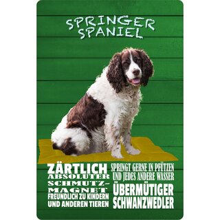 Schild Spruch "Hund Springer Spaniel zärtlich Schmutzmagnet" 20 x 30 cm Blechschild