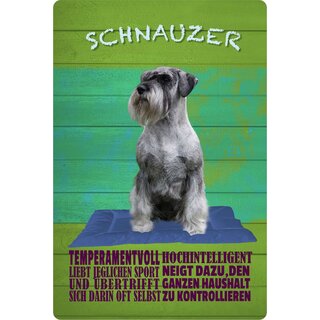 Schild Spruch "Hund Schnauzer Temperamentvoll Hochintelligent" 20 x 30 cm Blechschild