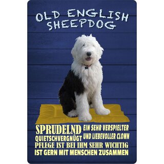 Schild Spruch "Hund Old English Sheepdog Quietschvergnügt sehr verspielt" 20 x 30 cm Blechschild