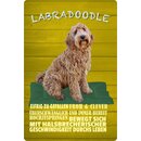 Schild Spruch "Hund Labradoodle Froh und...