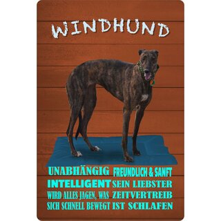 Schild Spruch "Hund Windhund Unabhängig Intelligent" 20 x 30 cm Blechschild