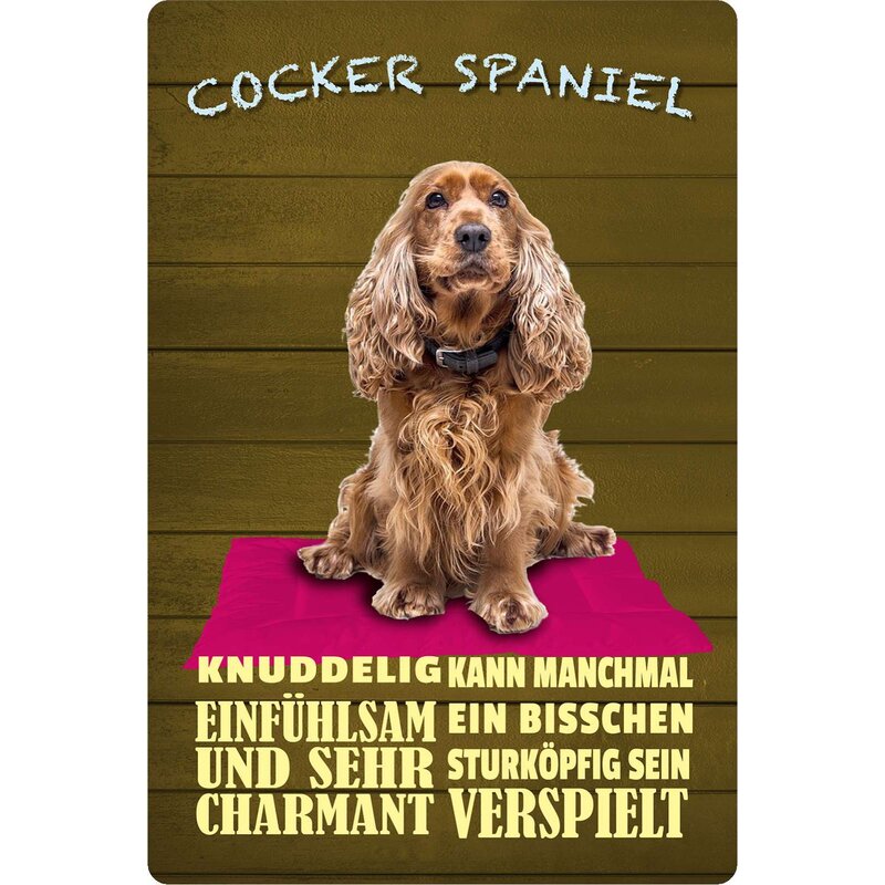 Metall-Warnschild „Cocker Spaniel“ – Aluminium, 30,5x20 Cm, Für Gartenzaun Oder Haustür, Mit Auf Wunsch Lochung