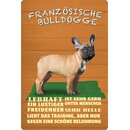 Schild Spruch "Hund Französische Bulldogge...