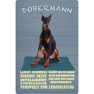 Schild Spruch "Hund Dobermann Intelligent Energisch" 20 x 30 cm Blechschild