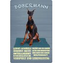 Schild Spruch "Hund Dobermann Intelligent...