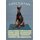 Schild Spruch "Hund Dobermann Intelligent Energisch" 20 x 30 cm Blechschild