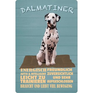 Schild Spruch "Hund Dalmatiner Energisch Leicht zu trainieren" 20 x 30 cm Blechschild