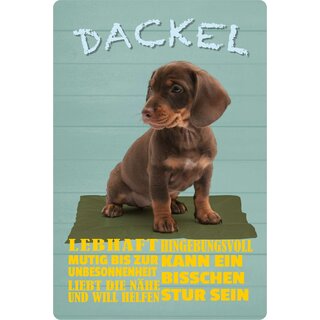 Schild Spruch "Hund Dackel Lebhaft Hingebungsvoll" 20 x 30 cm Blechschild